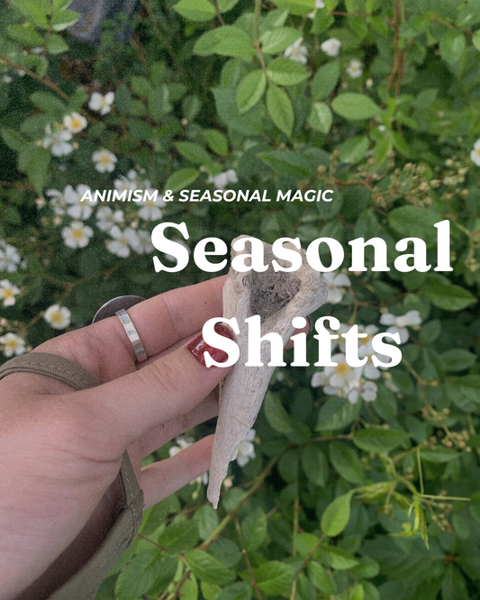 Seasonal Shifts - Summer Folk Practice, Reflections, Plants as Ancestors, and More