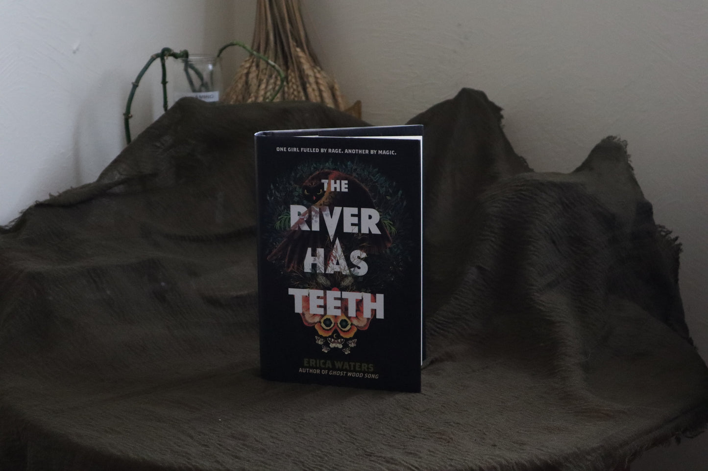 The River Has Teeth by Erica Waters {Used}