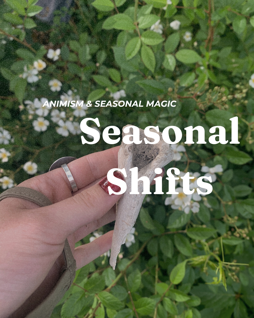 Seasonal Shifts - Summer Folk Practice, Reflections, Plants as Ancestors, and More