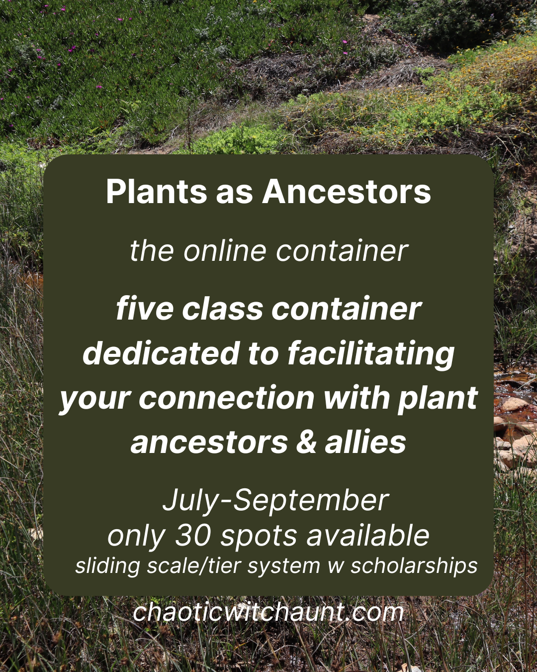 Plants as Ancestors