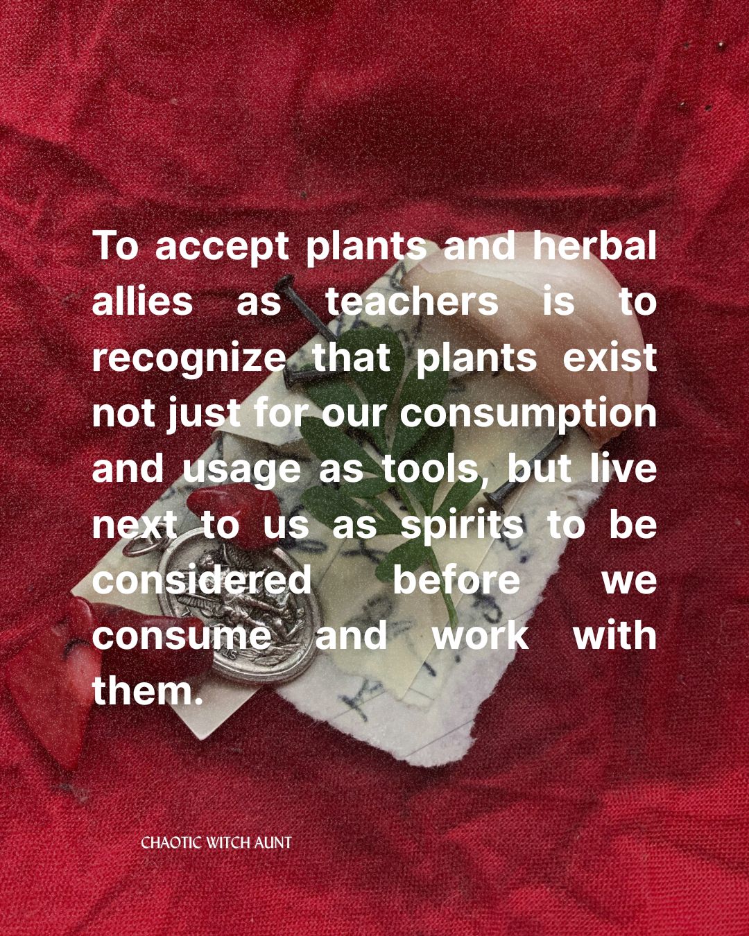 Plants as Protection: Italian-American Viewpoints on Apotropaic Ritual & Charms