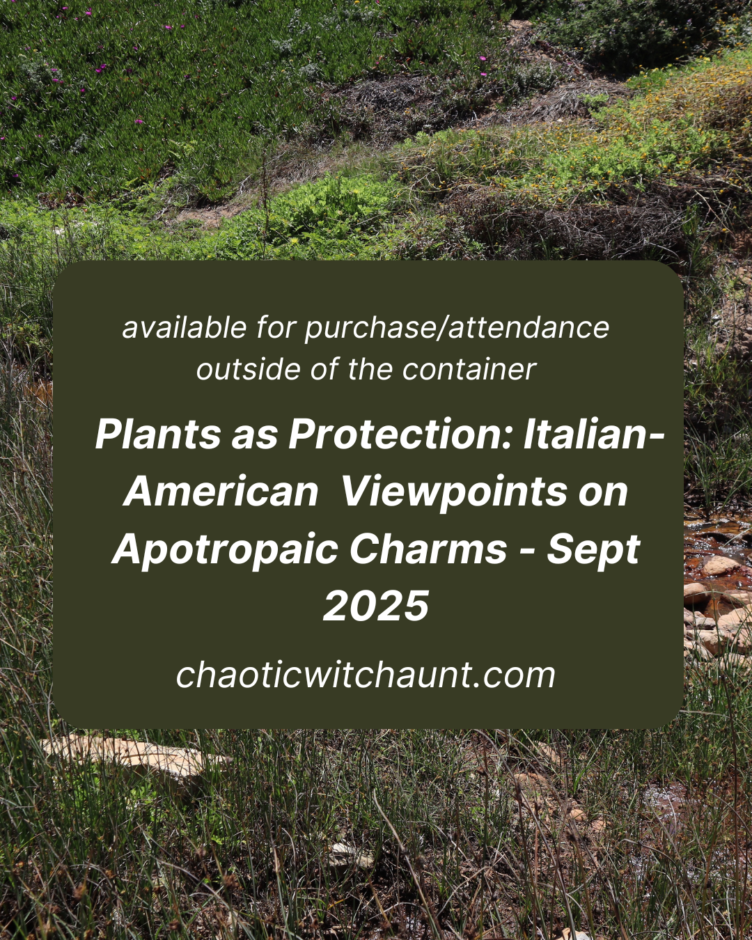 Plants as Protection: Italian-American Viewpoints on Apotropaic Ritual & Charms